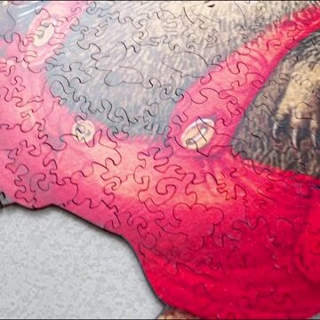 Cute Hedgehog Wooden Jigsaw Puzzle - aimpuzzle