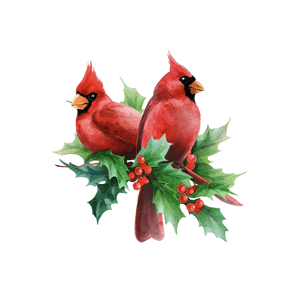 Cardinal Bird Wooden Jigsaw Puzzle - aimpuzzle