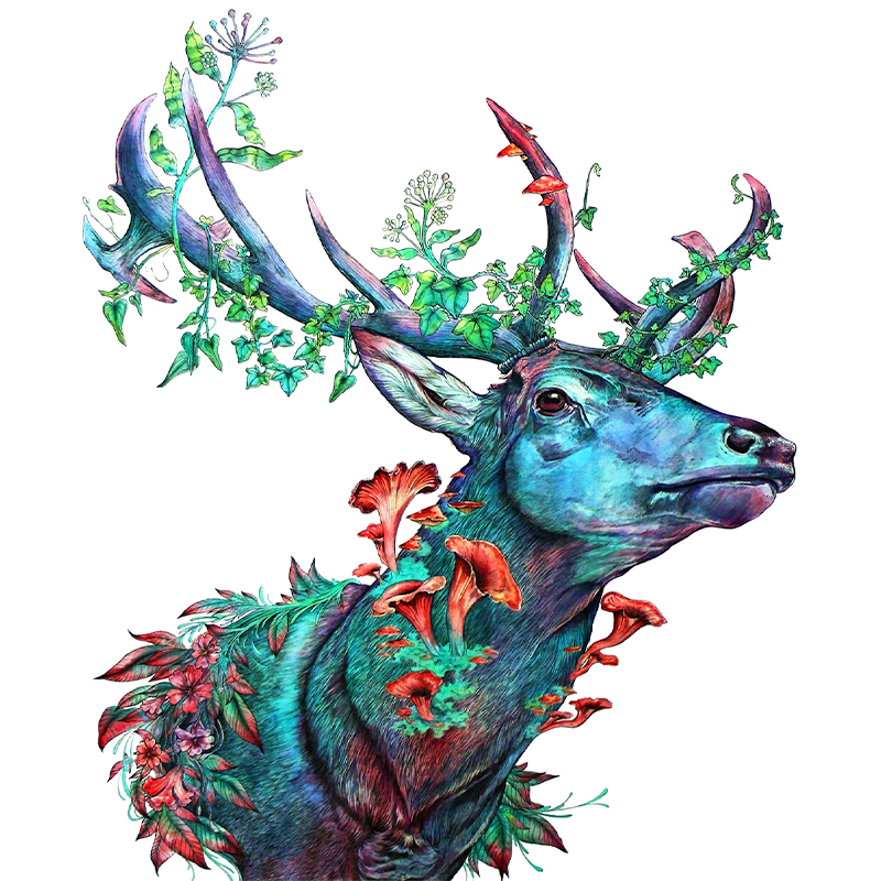 Elk Wooden Jigsaw Puzzle - aimpuzzle