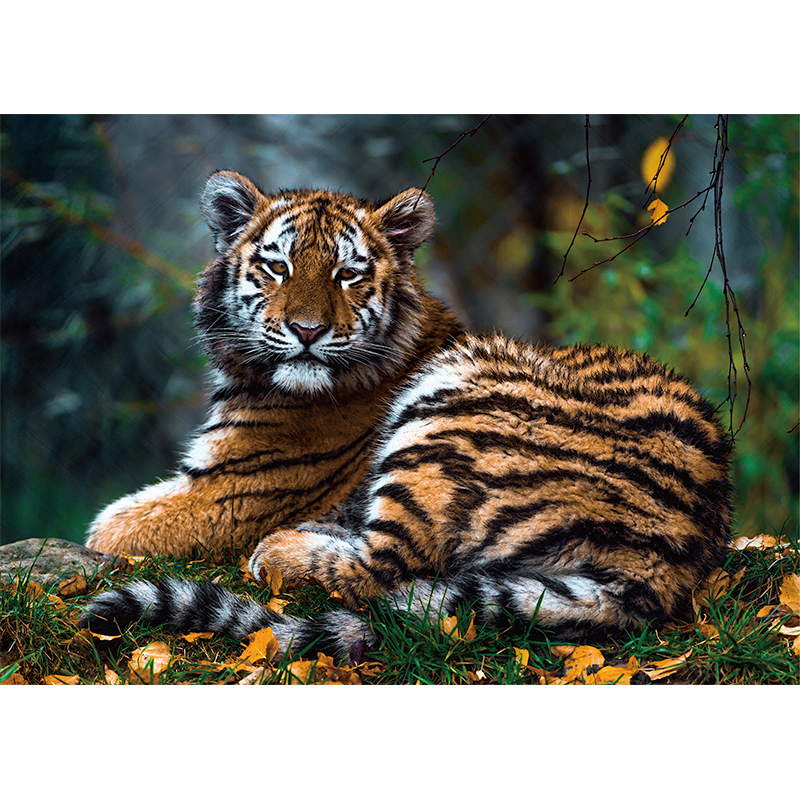 Tiger Wooden Jigsaw Puzzle - aimpuzzle
