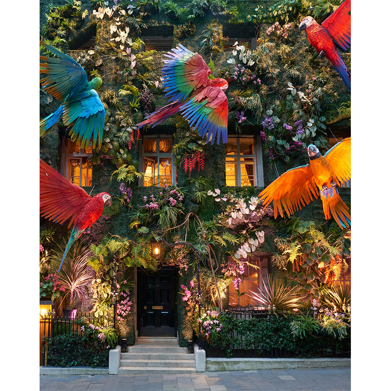 Annabel's parrot Wooden Jigsaw Puzzle - aimpuzzle