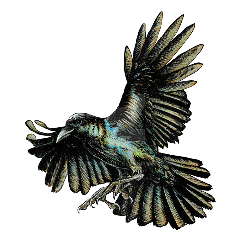 Crow Wooden Jigsaw Puzzle - aimpuzzle