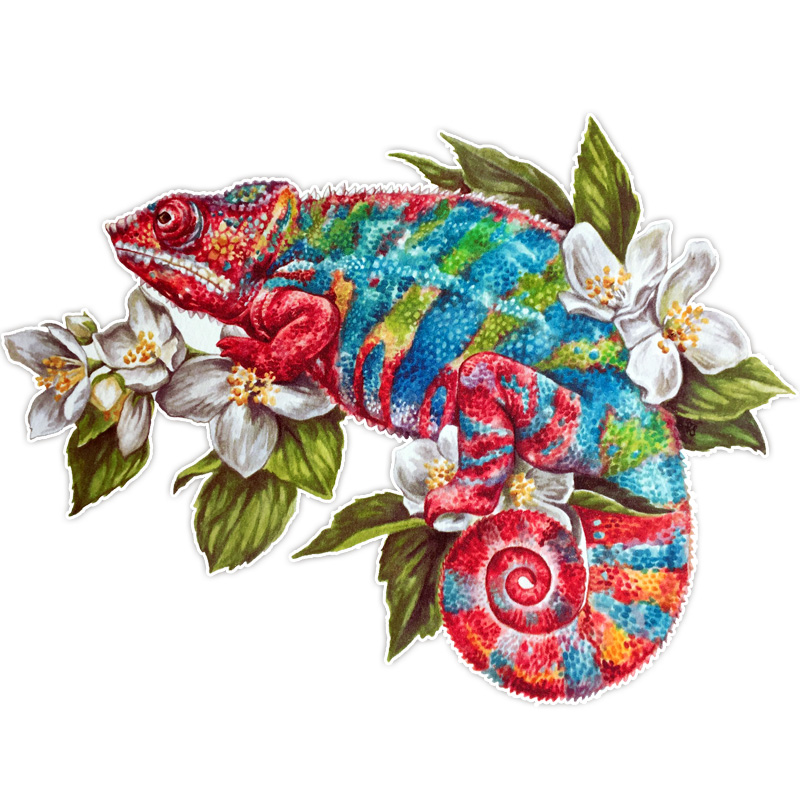 Chameleon Wooden Jigsaw Puzzle - aimpuzzle