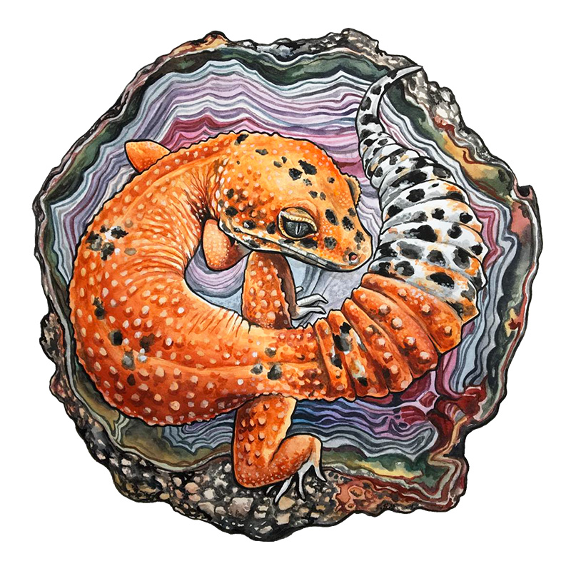 Gecko Wooden Jigsaw Puzzle - aimpuzzle